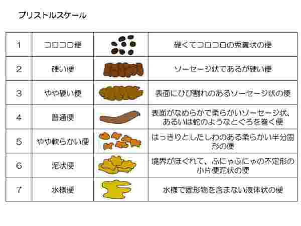 ブリストルスケールのサムネイル